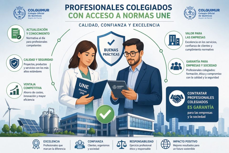normas une profesionales