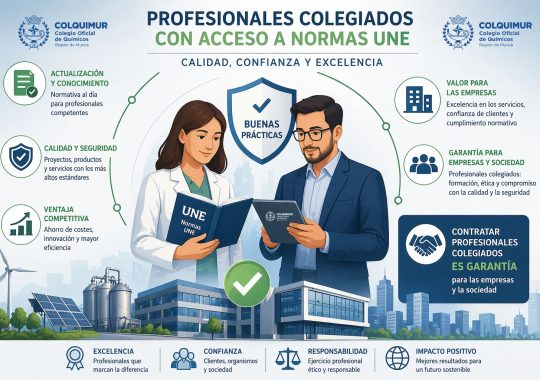 normas une profesionales